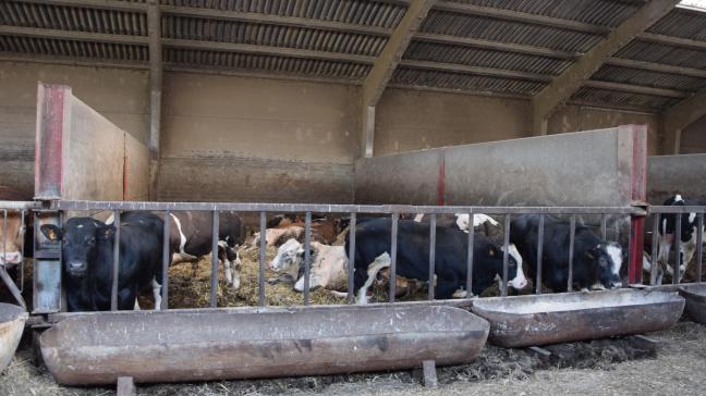 Uit het Voortgangsrapport stikstof van 2024 blijkt dat de emissiecijfers die toe te wijzen zijn aan de landbouw, intussen significant daalden.