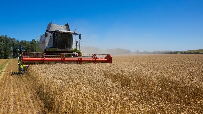 Bijna een vijfde van de Belgen en Europeanen vinden dat landbouw en voedselveiligheid een prioriteit moeten zijn van het Europees Parlement.