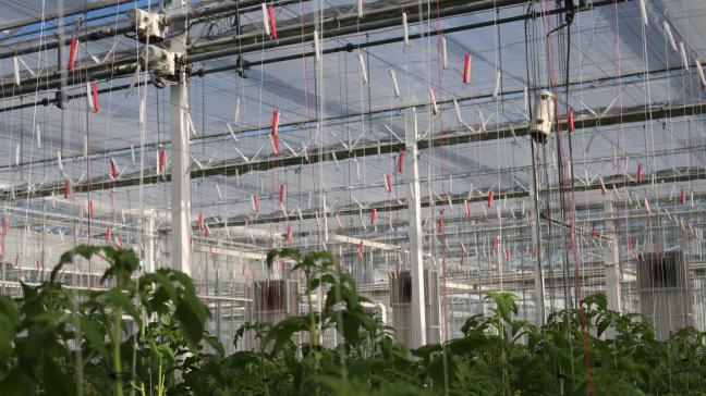 Beide praktijkcentra werken al geruime tijd constructief samen in projecten als Life Aclima en Energlik. Ook zijn er gezamenlijke technische comités binnen vruchtgroenten.