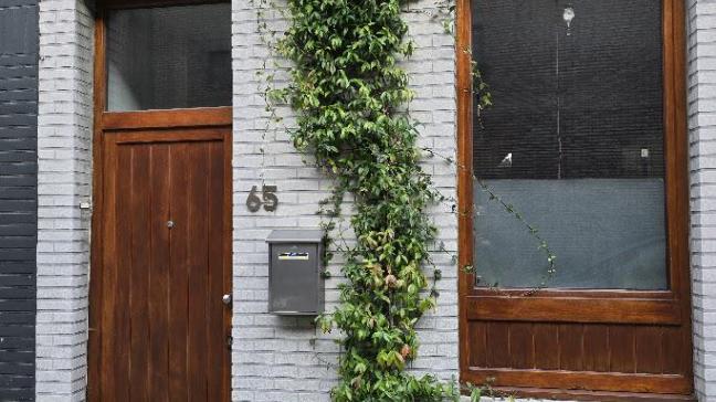 Het verwijderen van één tegel volstaat om het een klimplant – hier de groenblijvende Toscaanse jasmijn – naar de zin te maken.