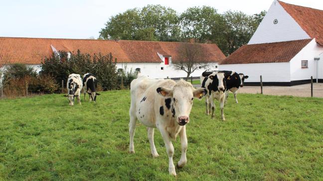 We willen beweiden werkbaar maken, want daar heb ik ook wel een aantal zorgen rond gehoord die bij mij de wenkbrauwen deden fronsen”, zegt minister Brouns.