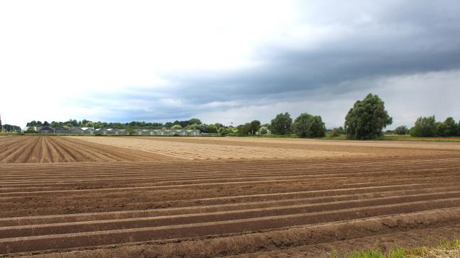 Na de omstreden verkoop van 450 ha landbouwgrond aan een vennootschap gelinkt aan Fernand Huts, wil Gent inzetten op een strategisch pachtbeleid voor haar resterende landbouwgronden.