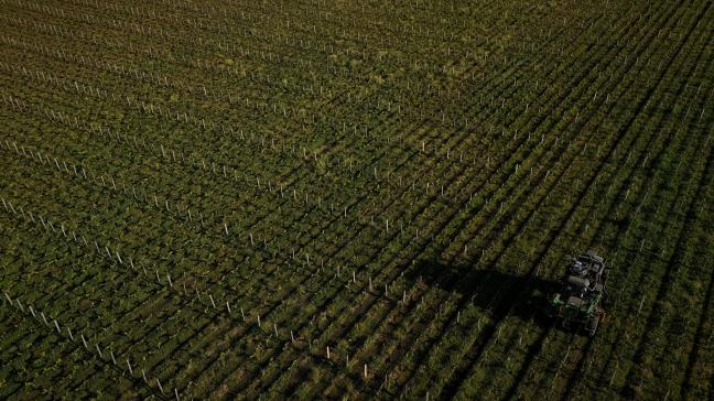 Nature & Progrès en PAN Europe roepen autoriteiten op om snel actie te ondernemen tegen TFA-vervuiling door alle pesticiden die PFAS bevatten te verbieden.