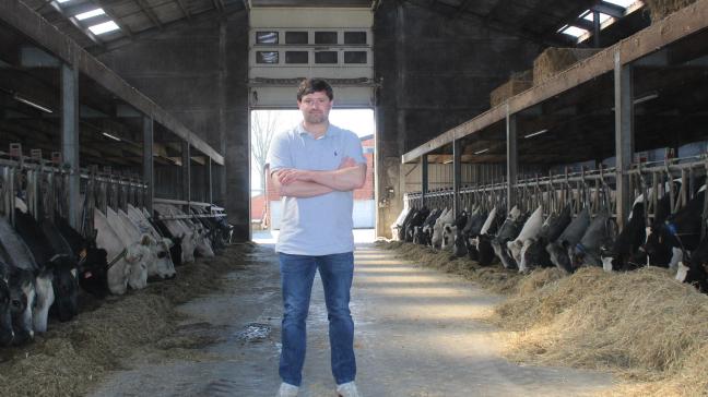 Bruno Vanhaelemeesch heeft nooit een ander runderras overwogen dan Belgisch witblauw.