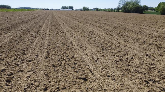 Ons land kreunt onder een lange droogte.