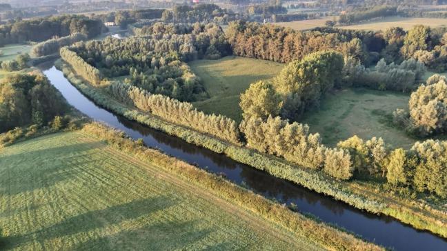 De Europese ontbossingsverordening had eind 2024 in werking moeten treden.