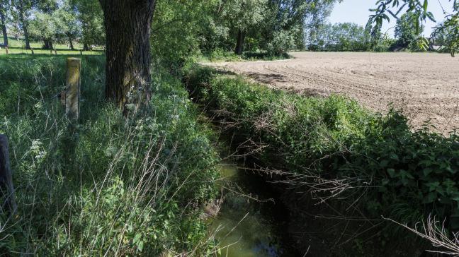 De voorbije dagen heeft het op heel wat plaatsen geregend, toch blijft code geel onveranderd van kracht.