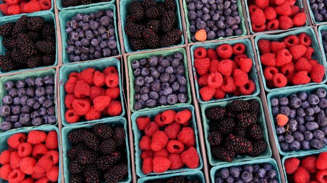 Aardbeien, blauwe bessen, bramen en frambozen krijgen een hippe boost met de Europese campagne ‘Een handje zomer’.