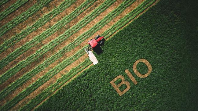 Omschakelen naar bioproductie is een werk van lange adem, met een niet zo evidente omschakelingsperiode.