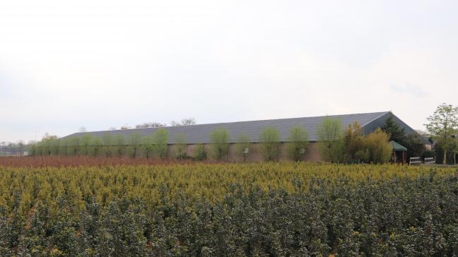 In vergelijking met het Nederlandse geurkader wordt het Vlaamse kader beschouwd als streng.