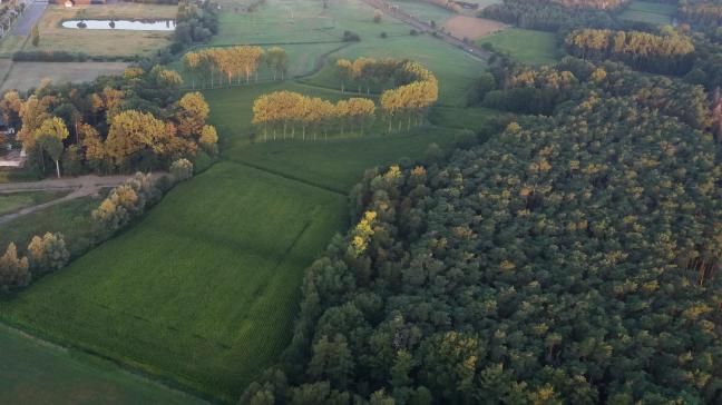 Er is nog geen akkoord over de subsidies aan gemeenten voor bosuitbreiding.