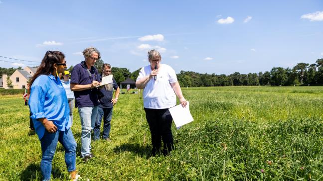 Op 17 juni vond er een persmoment plaats op 1 van de 3 Vlaamse proefvelden met kruidenrijk grasland.