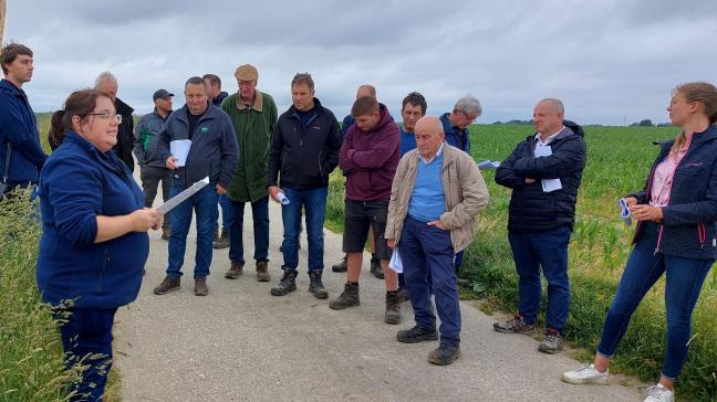 Grijp de proefveldbezoeken aan om bij te leren in het veld om jouw toekomst  voor te bereiden.