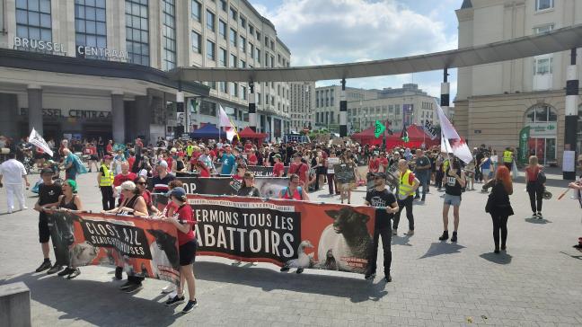 Tijdens de protestactie van Bite Back op zondag 29 juni konden voorbijgangers veganistische snacks proberen en VR-beelden van boerderijdieren bekijken. De mars eindigde op het Muntplein in Brussel.