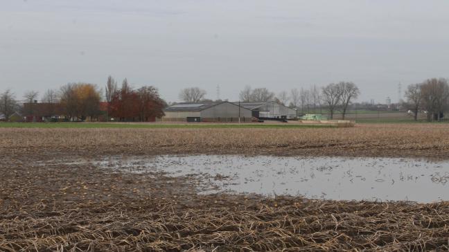 Minister Brouns wil de evaluatie van de brede weersverzekering afwachten. Voor 2 parlementsleden van Open Vld mag de hervorming sneller gaan.