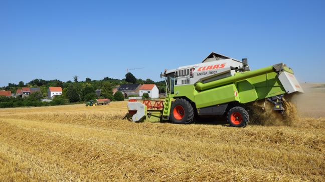 De wereldwijde oogst van granen zou volgens een rapport van de voedselFAO dit jaar 2.925 miljoen ton kunnen bereiken.