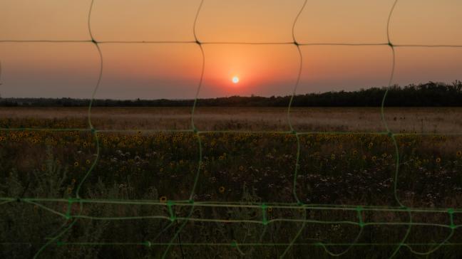 Het principehandelsakkoord tussen de EU en Oekraïne stelt voor om de quota voor een aantal landbouwproducten te verhogen ten opzichte van 2016.