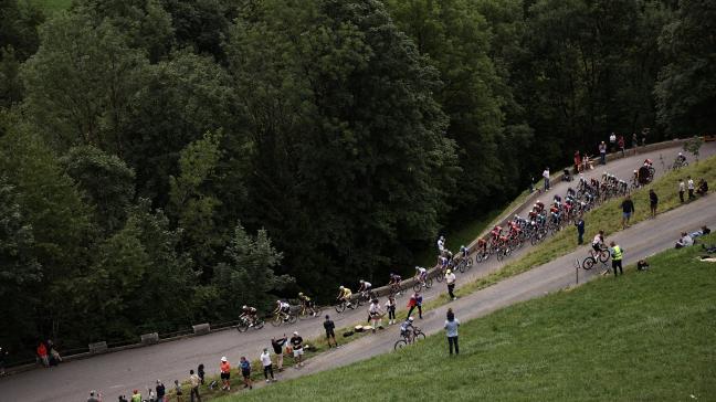 De rit van 25 juli in de Ronde van Frankrijk werdingekort en omgeleid omdat in een kudde runderen op de Col des Saisies een geval van nodulaire dermatose werd vastgesteld.