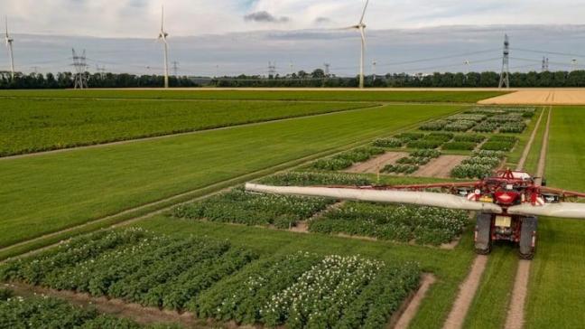 PotatoEurope gaat dit jaar door op de terreinen van op het onderzoeksterrein van WUR-Open Teelten te Lelystad (NL) op 3 en 4 september.