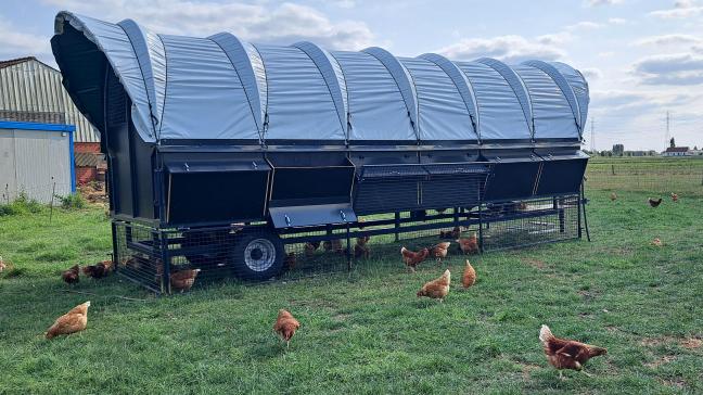 De mobiele kippenstal van melkveebedrijf Dijsselhof in Machelen biedt plaats aan 216 legkippen.
