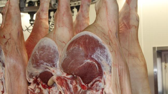 Twaalf Britse bedrijven mogen de komende 5 jaar voor zowat 22 miljoen euro varkensvlees exporteren naar Mexico.