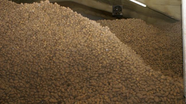 In totaal is er ongeveer 25.000 kg aardappelen verkocht en gedoneerd tijdens de actie van Waste Warriors.
