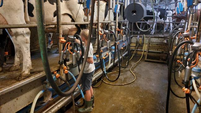 Uit het jaarrapport van brancheorganisatie MilkBE blijkt dat ze opnieuw belangrijke stappen zetten om de Belgische zuivelketen verder te versterken.