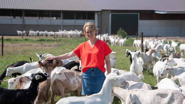 De vraag naar biologische geitenmelk neemt geleidelijk opnieuw toe.
