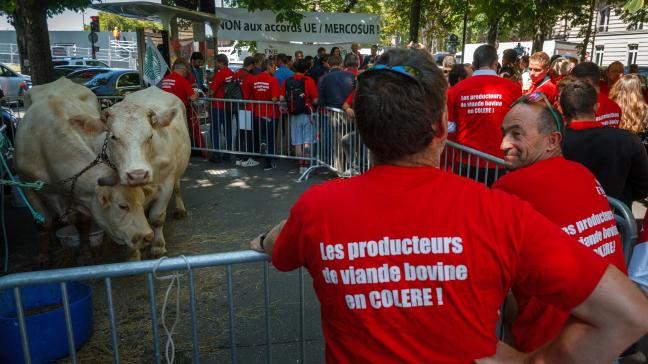 Landbouworganisaties stellen dat de Mercosur-deal leidt tot oneerlijke concurrentie en consumentenbedrog.