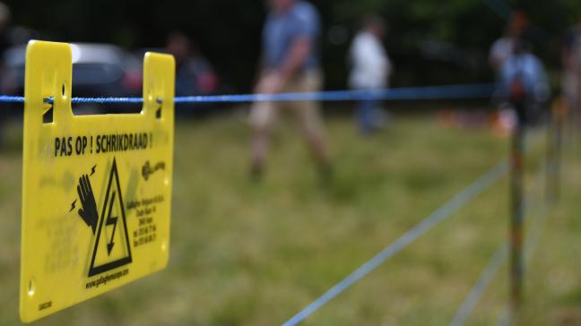 Sinds 1 juli zijn er 210 aanvragen ingediend om wolfwerende omheiningen te plaatsen.