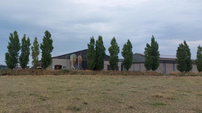 Door een ‘verouderde lijst’ te gebruiken ondermijnt minister Brouns de bescherming van de natuur, maar stort hij ook de landbouwsector in verdere chaos volgens Bond Beter Leefmilieu en Dryade.