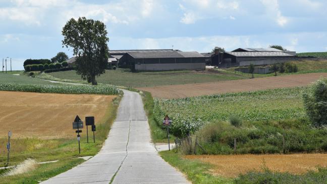 Het merendeel van de deelnemers aan de bevraging vindt dat de open ruimte moet dienen voor landbouw- en voedselproductie.
