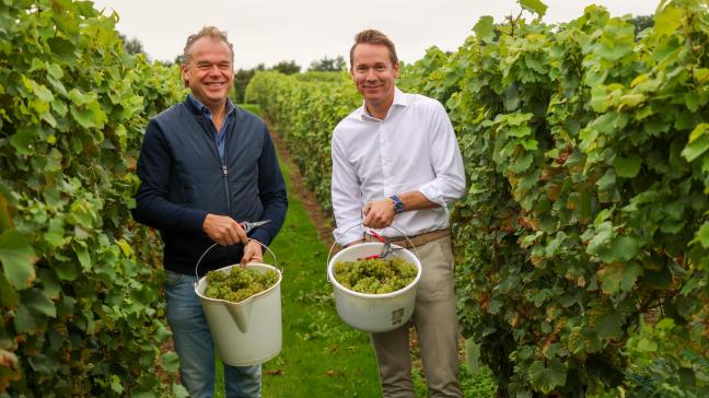 Stefan Këkko (links) en minister Jo Brouns plukten op 18 september druiven in Riemst.