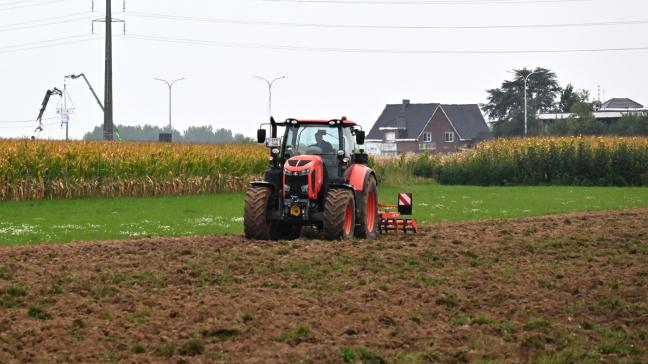 Toekomstgericht beleidbetekent ook: de landbouwstiel aantrekkelijk maken voor jonge starters en oplossingen zoeken voor de problematiek van toegang tot grond.