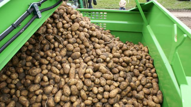 Belgapom meldt op 26 september dat er opnieuw geen Belgapomnotering voor vroege aardappelen is wegens een gebrek aan transacties.