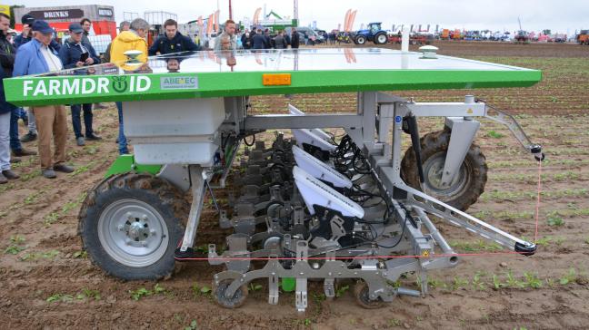De volledig autonome Farmdroid schoffelde mooi in de rij tussen de enkele weken voordien gezaaide bieten.