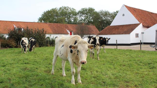 Ook in Vlaanderen zijn er plannen om inzake stikstof van een depositie- naar een emissiemodel over te stappen.