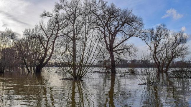 De buffers moeten het risico op overstromingen in de dorpskern van ’s Gravenvoeren aanzienlijk verkleinen en de landbouw versterken.