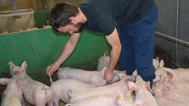Thomas Martens toont hoe de proef met lange staarten verloopt.