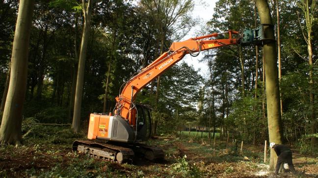 Ons land is het niet eens met de vraag van landbouwministers van 17 Europese lidstaten die pleitten voor uitstel en versoepeling van de Europese ontbossingsverordening.