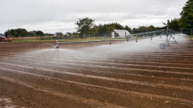 Op het groenteplatform vonden demonstraties rond opkomstirrigatie plaats, onder meer met deze klassieke beregeningsboom.