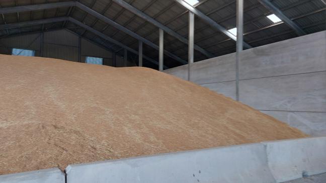 Wereldwijd zijn de voedselprijzen in oktober gedaald, in een context van overaanbod.