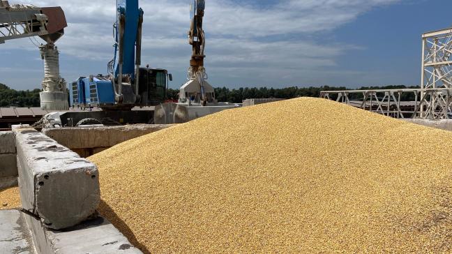 De maïsoogst in Oekraïne heeft vertraging tegenover vorige jaren. Bovendien belemmert schade aan de spoorweg-infrastructuur de levering van maïs aan havens.