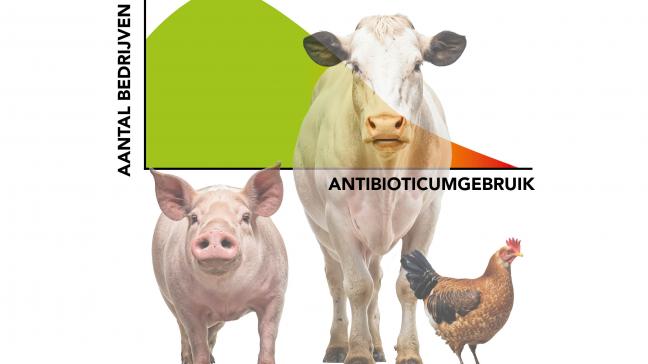 Stapje per stapje worden de doelstellingen naar een duurzaam antibioticagebruik gerealiseerd dankzij de inzet van de hele sector.