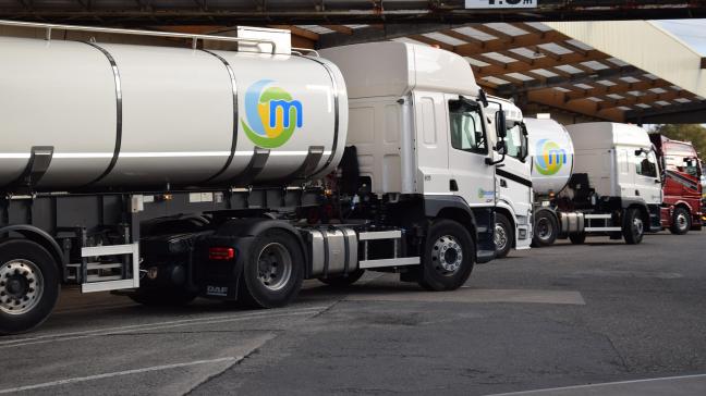 De Milcobel standaard melkprijs zakt naar een dieptepunt van 37 euro/100l.