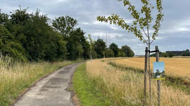 De VLM geeft opnieuw steun aan lokale projecten voor hetaanplanten vanhoutkanten.