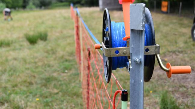 De provincie Limburg stopt met de subsidies voor het team dat veehouders helpt zich te beschermen tegen wolven.