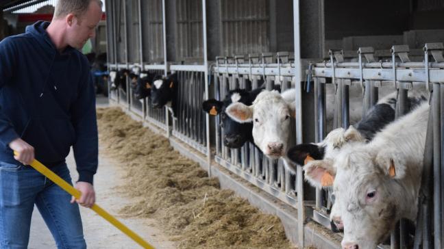 Vleesveehouder Pieter-Jan Van Schaftingen moet net zoals alle rundveehouders 5% stikstofuitstoot reduceren.