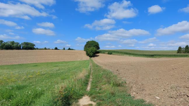 In België ontstaan erfdienstbaarheden tussen eigendommen meestal door menselijk handelen.