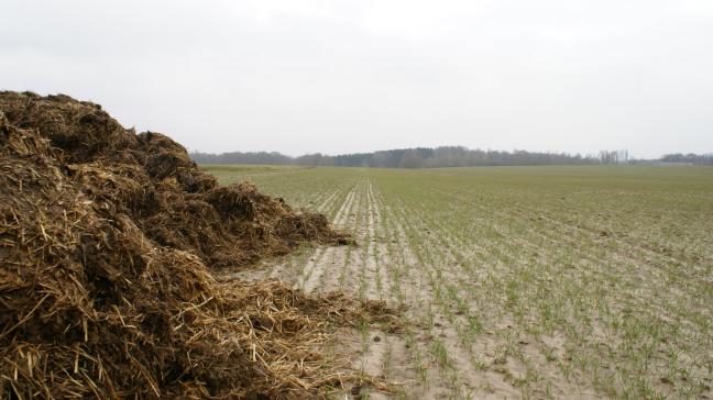Parlementslid Dochy vindt de afschaffing van de derogatie omtrent stalmest in strijd met de klimaatdoelstellingen.